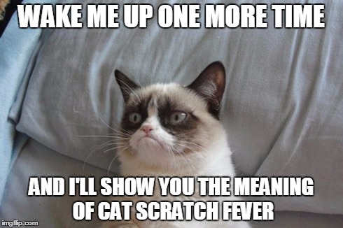 Grumpy Cat Bed | WAKE ME UP ONE MORE TIME AND I'LL SHOW YOU THE MEANING OF CAT SCRATCH FEVER | image tagged in memes,grumpy cat bed,grumpy cat | made w/ Imgflip meme maker