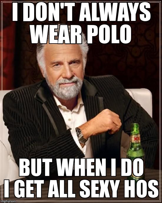 The Most Interesting Man In The World | I DON'T ALWAYS WEAR POLO BUT WHEN I DO I GET ALL SEXY HOS | image tagged in memes,the most interesting man in the world | made w/ Imgflip meme maker