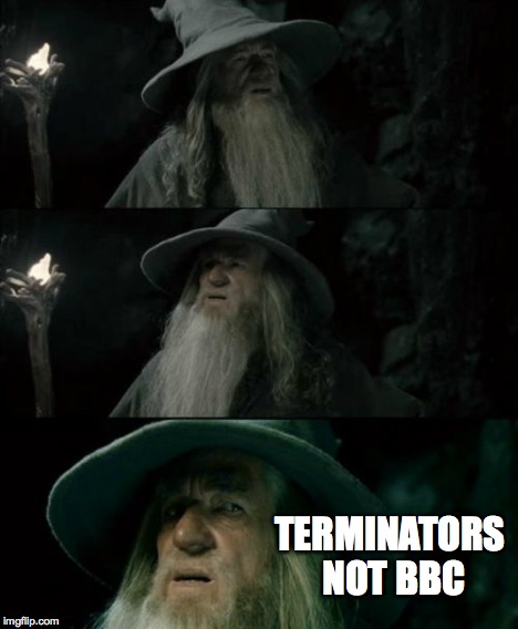 Confused Gandalf Meme | TERMINATORS NOT BBC | image tagged in memes,confused gandalf | made w/ Imgflip meme maker