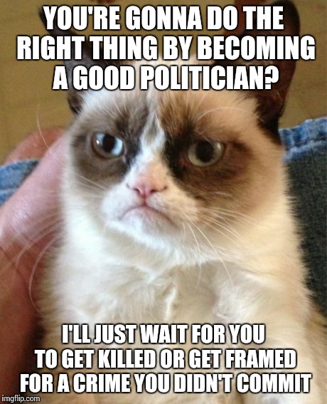 Pessimistic Grumpy Cat | YOU'RE GONNA DO THE RIGHT THING BY BECOMING A GOOD POLITICIAN? I'LL JUST WAIT FOR YOU TO GET KILLED OR GET FRAMED FOR A CRIME YOU DIDN'T COM | image tagged in memes,grumpy cat | made w/ Imgflip meme maker