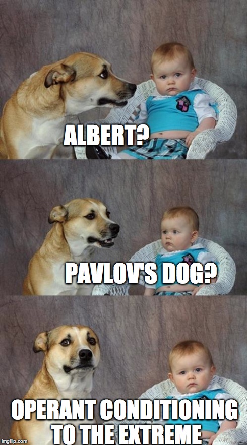 Dad Joke Dog Meme | ALBERT? PAVLOV'S DOG? OPERANT CONDITIONING TO THE EXTREME | image tagged in memes,dad joke dog | made w/ Imgflip meme maker