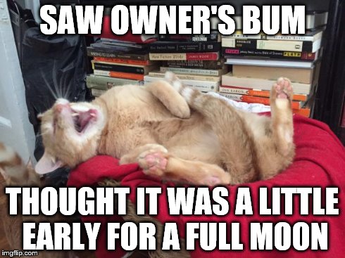Cat Laughs | SAW OWNER'S BUM THOUGHT IT WAS A LITTLE EARLY FOR A FULL MOON | image tagged in cat laughs | made w/ Imgflip meme maker