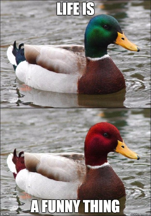 A Pair o' Ducks | LIFE IS A FUNNY THING | image tagged in actual advice mallard,malicious advice mallard,ducks,advice,paradox,ironic | made w/ Imgflip meme maker