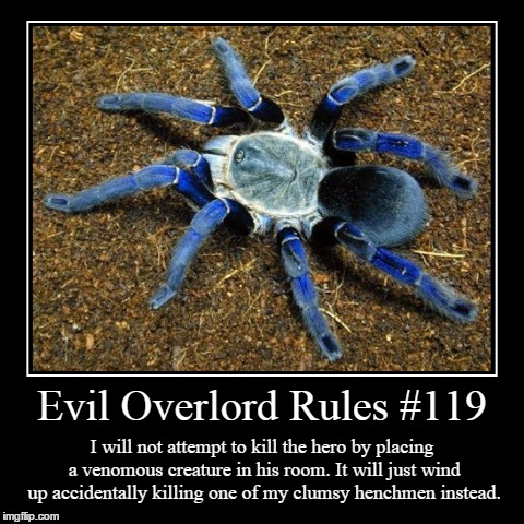 Rules 119 | image tagged in funny,demotivationals,evil overlord rules | made w/ Imgflip demotivational maker