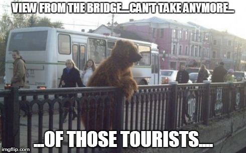 City Bear Meme | VIEW FROM THE BRIDGE....CAN'T TAKE ANYMORE... ...OF THOSE TOURISTS.... | image tagged in memes,city bear | made w/ Imgflip meme maker