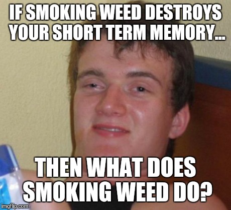 I Said It Destroys Your Short Term Memory | IF SMOKING WEED DESTROYS YOUR SHORT TERM MEMORY... THEN WHAT DOES SMOKING WEED DO? | image tagged in memes,10 guy | made w/ Imgflip meme maker