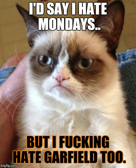 Grumpy Cat Meme | I'D SAY I HATE MONDAYS.. BUT I F**KING HATE GARFIELD TOO. | image tagged in memes,grumpy cat | made w/ Imgflip meme maker