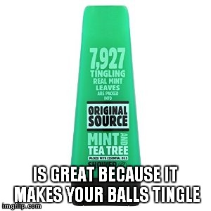 IS GREAT BECAUSE IT MAKES YOUR BALLS TINGLE | made w/ Imgflip meme maker