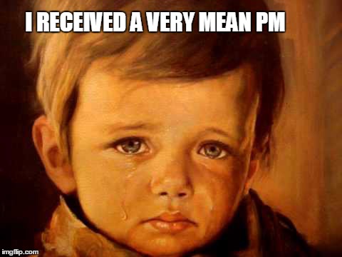 I RECEIVED A VERY MEAN PM | made w/ Imgflip meme maker