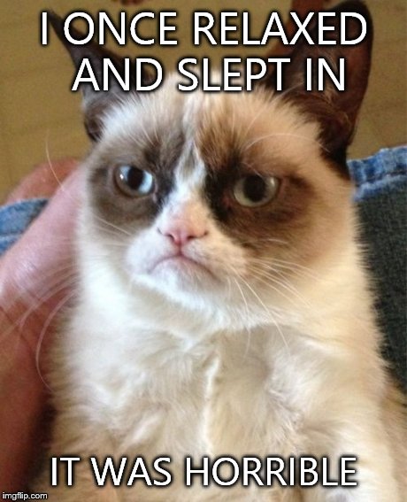 Grumpy Cat Meme | I ONCE RELAXED AND SLEPT IN IT WAS HORRIBLE | image tagged in memes,grumpy cat | made w/ Imgflip meme maker