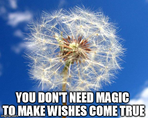 YOU DON'T NEED MAGIC TO MAKE WISHES COME TRUE | image tagged in wishes come true | made w/ Imgflip meme maker