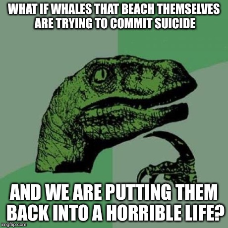 Philosoraptor Meme | WHAT IF WHALES THAT BEACH THEMSELVES ARE TRYING TO COMMIT SUICIDE AND WE ARE PUTTING THEM BACK INTO A HORRIBLE LIFE? | image tagged in memes,philosoraptor | made w/ Imgflip meme maker
