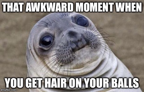 Awkward Moment Sealion Meme | THAT AWKWARD MOMENT WHEN YOU GET HAIR ON YOUR BALLS | image tagged in memes,awkward moment sealion | made w/ Imgflip meme maker