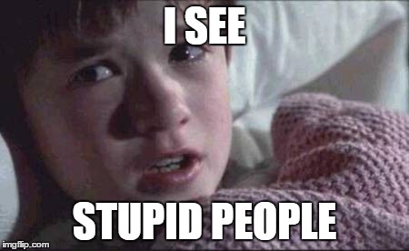 I See Dead People | I SEE STUPID PEOPLE | image tagged in memes,i see dead people | made w/ Imgflip meme maker