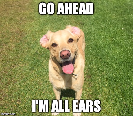 GO AHEAD I'M ALL EARS | made w/ Imgflip meme maker