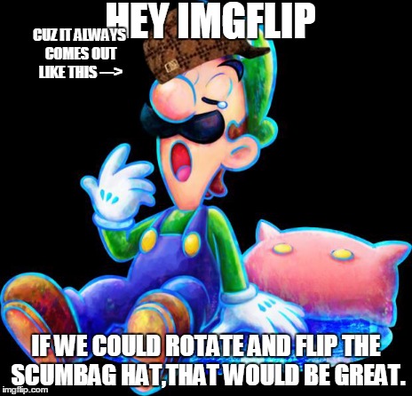 I was thinking about putting it on his nose. lol | HEY IMGFLIP IF WE COULD ROTATE AND FLIP THE SCUMBAG HAT,THAT WOULD BE GREAT. CUZ IT ALWAYS COMES OUT LIKE THIS
---> | image tagged in memes,procastinator luigi,scumbag,that would be great,luigi | made w/ Imgflip meme maker