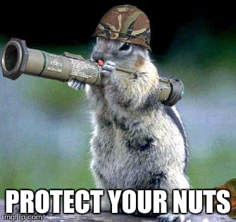 Bazooka Squirrel Meme | PROTECT YOUR NUTS | image tagged in memes,bazooka squirrel | made w/ Imgflip meme maker