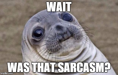 Awkward Moment Sealion | WAIT WAS THAT SARCASM? | image tagged in memes,awkward moment sealion | made w/ Imgflip meme maker