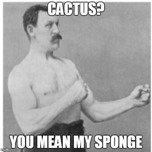 Overly Manly Man Meme | CACTUS? YOU MEAN MY SPONGE | image tagged in memes,overly manly man | made w/ Imgflip meme maker