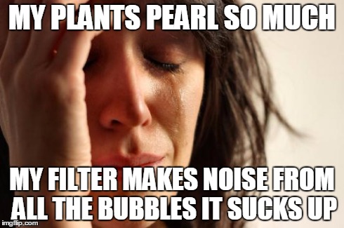 First World Problems Meme | MY PLANTS PEARL SO MUCH MY FILTER MAKES NOISE FROM ALL THE BUBBLES IT SUCKS UP | image tagged in memes,first world problems | made w/ Imgflip meme maker