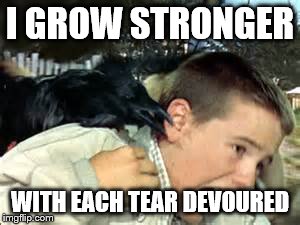 Bird Attack. | I GROW STRONGER WITH EACH TEAR DEVOURED | image tagged in bird,attack,childhood | made w/ Imgflip meme maker