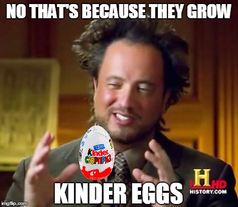 Ancient Aliens Meme | NO THAT'S BECAUSE THEY GROW KINDER EGGS | image tagged in memes,ancient aliens | made w/ Imgflip meme maker