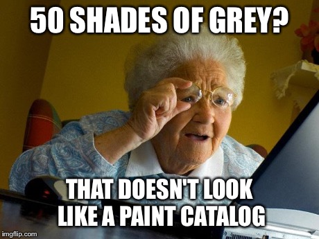 Grandma Finds The Internet | 50 SHADES OF GREY? THAT DOESN'T LOOK LIKE A PAINT CATALOG | image tagged in memes,grandma finds the internet | made w/ Imgflip meme maker