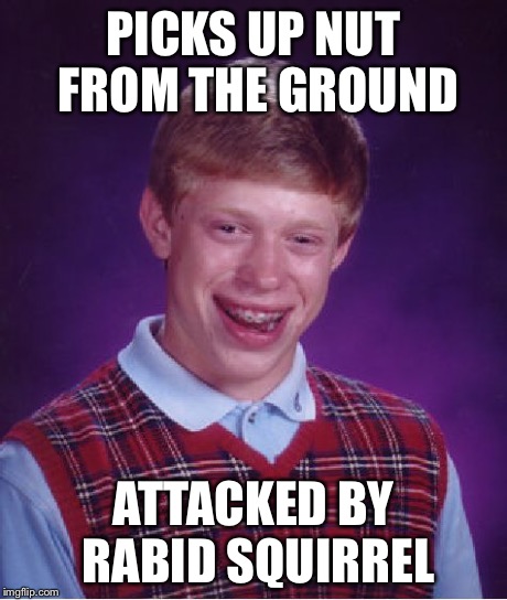 Bad Luck Brian Meme | PICKS UP NUT FROM THE GROUND ATTACKED BY RABID SQUIRREL | image tagged in memes,bad luck brian | made w/ Imgflip meme maker