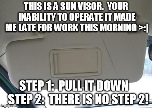 THIS IS A SUN VISOR.  YOUR INABILITY TO OPERATE IT MADE ME LATE FOR WORK THIS MORNING >:| STEP 1:  PULL IT DOWN   STEP 2:  THERE IS NO STEP | image tagged in sun visor | made w/ Imgflip meme maker