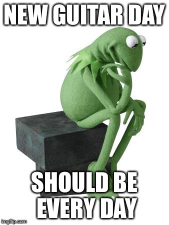 Philosophy Kermit | NEW GUITAR DAY SHOULD BE EVERY DAY | image tagged in philosophy kermit | made w/ Imgflip meme maker