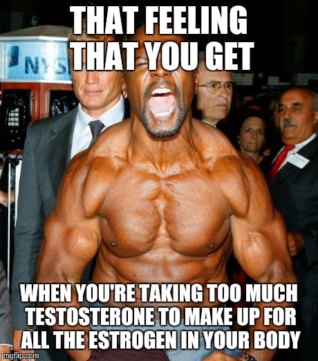 Terry Crews Flex | THAT FEELING THAT YOU GET WHEN YOU'RE TAKING TOO MUCH TESTOSTERONE TO MAKE UP FOR ALL THE ESTROGEN IN YOUR BODY | image tagged in terry crews flex | made w/ Imgflip meme maker