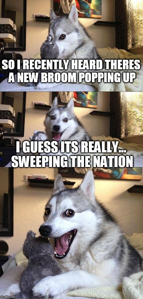 Bad Pun Dog | SO I RECENTLY HEARD THERES A NEW BROOM POPPING UP I GUESS ITS REALLY... SWEEPING THE NATION | image tagged in memes,bad pun dog | made w/ Imgflip meme maker