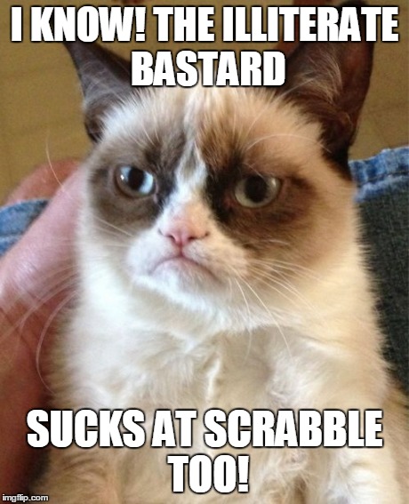 Grumpy Cat Meme | I KNOW! THE ILLITERATE BASTARD SUCKS AT SCRABBLE TOO! | image tagged in memes,grumpy cat | made w/ Imgflip meme maker