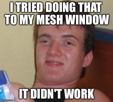 10 Guy Meme | I TRIED DOING THAT TO MY MESH WINDOW IT DIDN'T WORK | image tagged in memes,10 guy | made w/ Imgflip meme maker