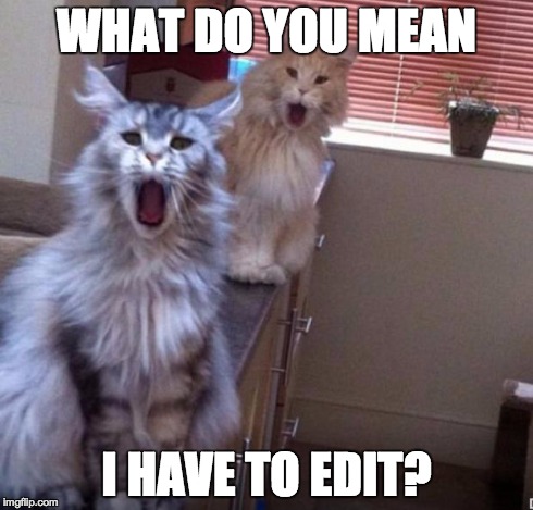 ShockedCats | WHAT DO YOU MEAN I HAVE TO EDIT? | image tagged in shockedcats | made w/ Imgflip meme maker