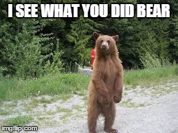 I SEE WHAT YOU DID BEAR | made w/ Imgflip meme maker