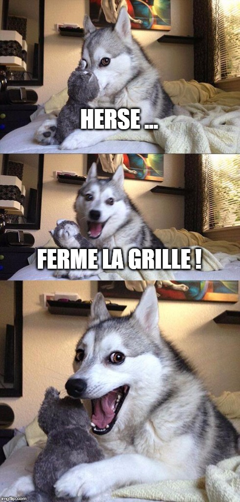Bad Pun Dog Meme | HERSE ... FERME LA GRILLE ! | image tagged in memes,bad pun dog | made w/ Imgflip meme maker