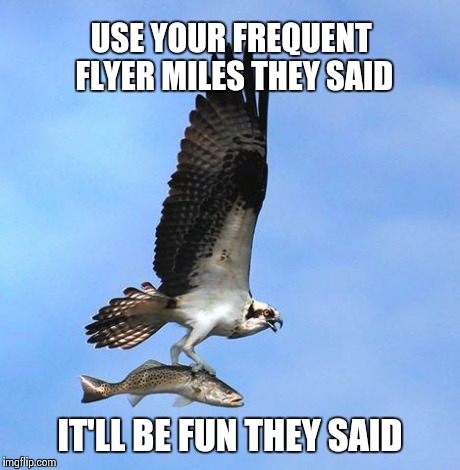fish | USE YOUR FREQUENT FLYER MILES THEY SAID IT'LL BE FUN THEY SAID | image tagged in fish | made w/ Imgflip meme maker