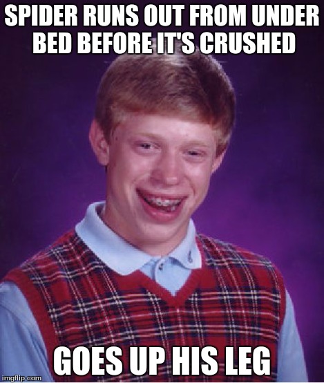 Bad Luck Brian Meme | SPIDER RUNS OUT FROM UNDER BED BEFORE IT'S CRUSHED GOES UP HIS LEG | image tagged in memes,bad luck brian | made w/ Imgflip meme maker