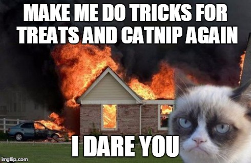 Burn Kitty | MAKE ME DO TRICKS FOR TREATS AND CATNIP AGAIN I DARE YOU | image tagged in memes,burn kitty | made w/ Imgflip meme maker