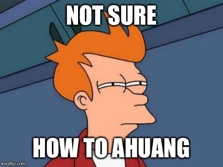 Futurama Fry Meme | NOT SURE HOW TO AHUANG | image tagged in memes,futurama fry | made w/ Imgflip meme maker