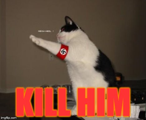 Nazi salute cat | KILL HIM | image tagged in nazi salute cat | made w/ Imgflip meme maker