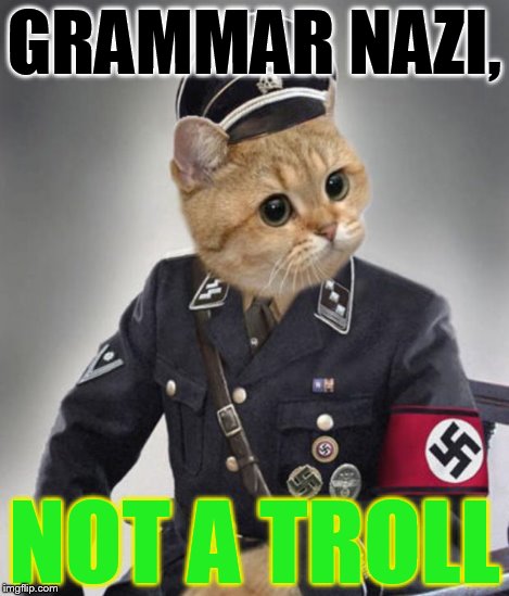 Nazi cat in uniform | GRAMMAR NAZI, NOT A TROLL | image tagged in nazi cat in uniform | made w/ Imgflip meme maker