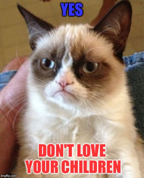 Grumpy Cat Meme | YES DON'T LOVE YOUR CHILDREN | image tagged in memes,grumpy cat | made w/ Imgflip meme maker