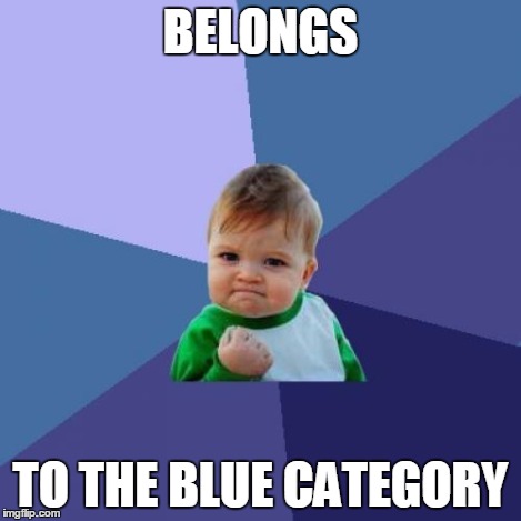 Success Kid Meme | BELONGS TO THE BLUE CATEGORY | image tagged in memes,success kid | made w/ Imgflip meme maker