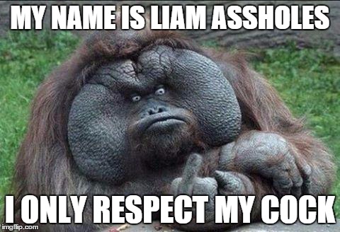 Middle Finger Monkey | MY NAME IS LIAM ASSHOLES I ONLY RESPECT MY COCK | image tagged in middle finger monkey | made w/ Imgflip meme maker