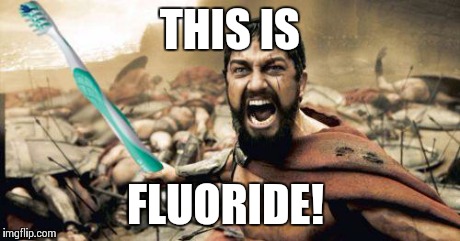Leonidas Toothbrush | THIS IS FLUORIDE! | image tagged in leonidas toothbrush | made w/ Imgflip meme maker