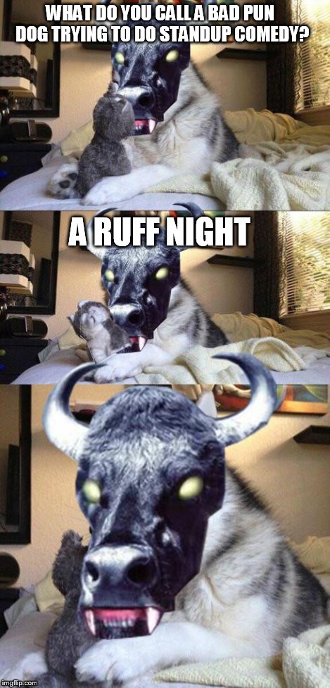 bad pun vampire cow | WHAT DO YOU CALL A BAD PUN DOG TRYING TO DO STANDUP COMEDY? A RUFF NIGHT | image tagged in bad pun vampire cow | made w/ Imgflip meme maker