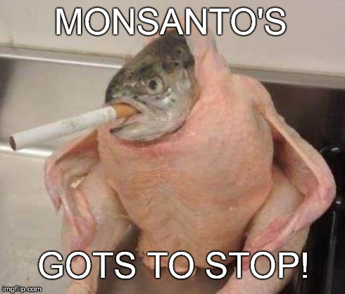 Bad ass fish | MONSANTO'S GOTS TO STOP! | image tagged in bad ass fish | made w/ Imgflip meme maker