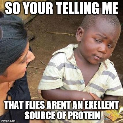 Third World Skeptical Kid | SO YOUR TELLING ME THAT FLIES ARENT AN EXELLENT SOURCE OF PROTEIN | image tagged in memes,third world skeptical kid | made w/ Imgflip meme maker